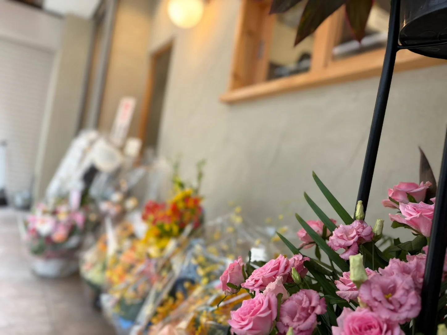 店先に並ぶ開店祝いの花。やわらかな光のなかのピンクのトルコキキョウ